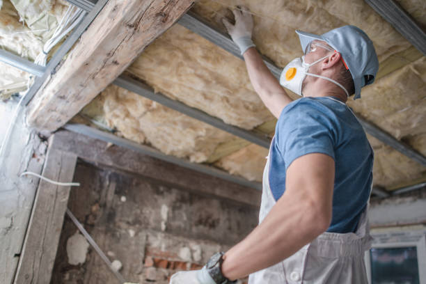 Best Specialized Insulation Services in Dallas, OR